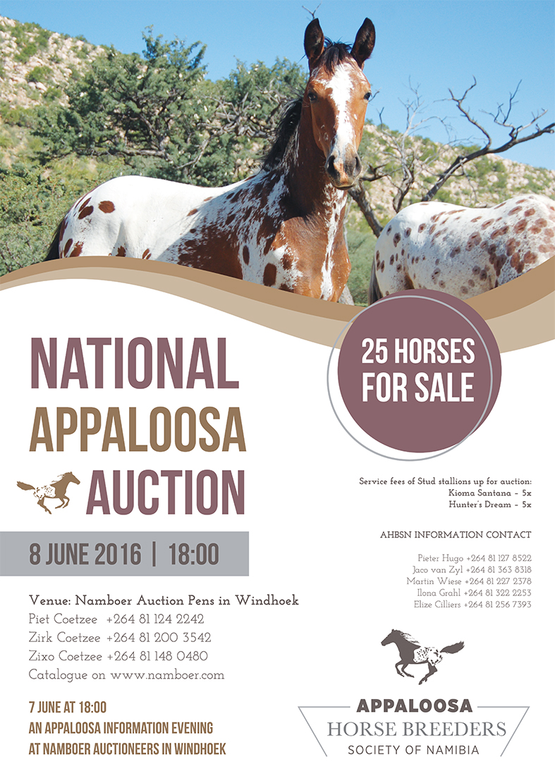 Ilona Grahl_auction poster A2 final 2 small